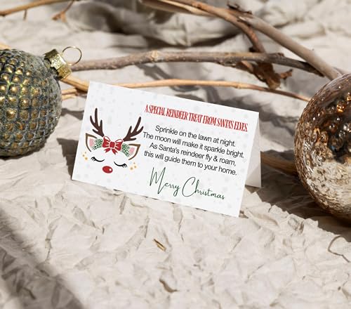 Magic Reindeer Food Gift Tags, Christmas Party Supplies, Kids Holiday Favors, RedPaper Clever Party