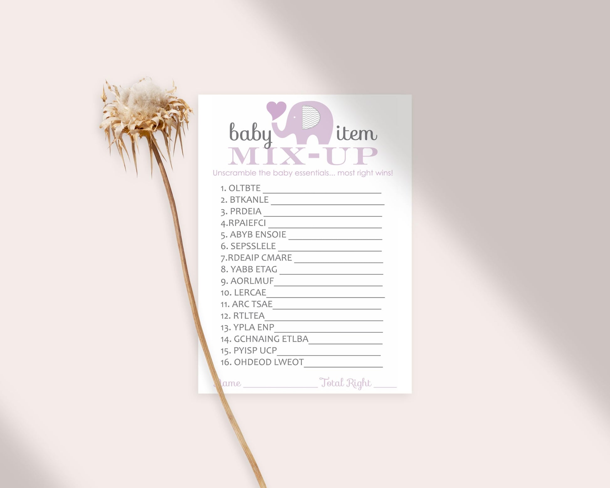 Guests - Girls Baby Shower Games - Princess Jungle Animal Themed - Printed 4x6 Size SetPaper Clever Party